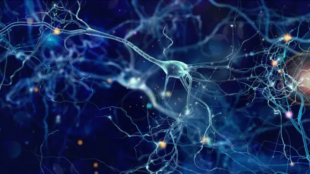 Vagus Nerve Dysfunction