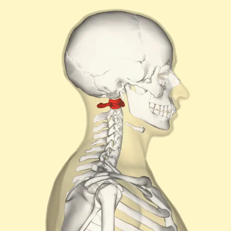 Atlas Chiropractic