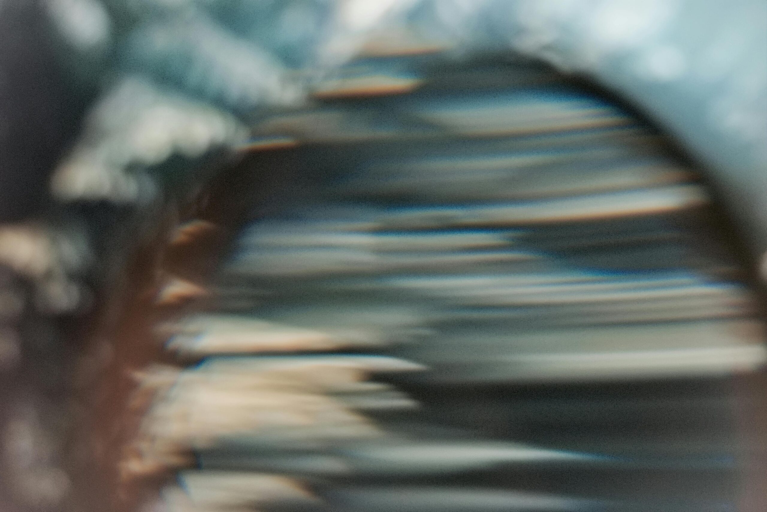 Why Am I Dizzy? Proven Care in Sarasota. Understanding Dizziness and Upper Cervical Misalignment at Lavender Family Chiropractic
