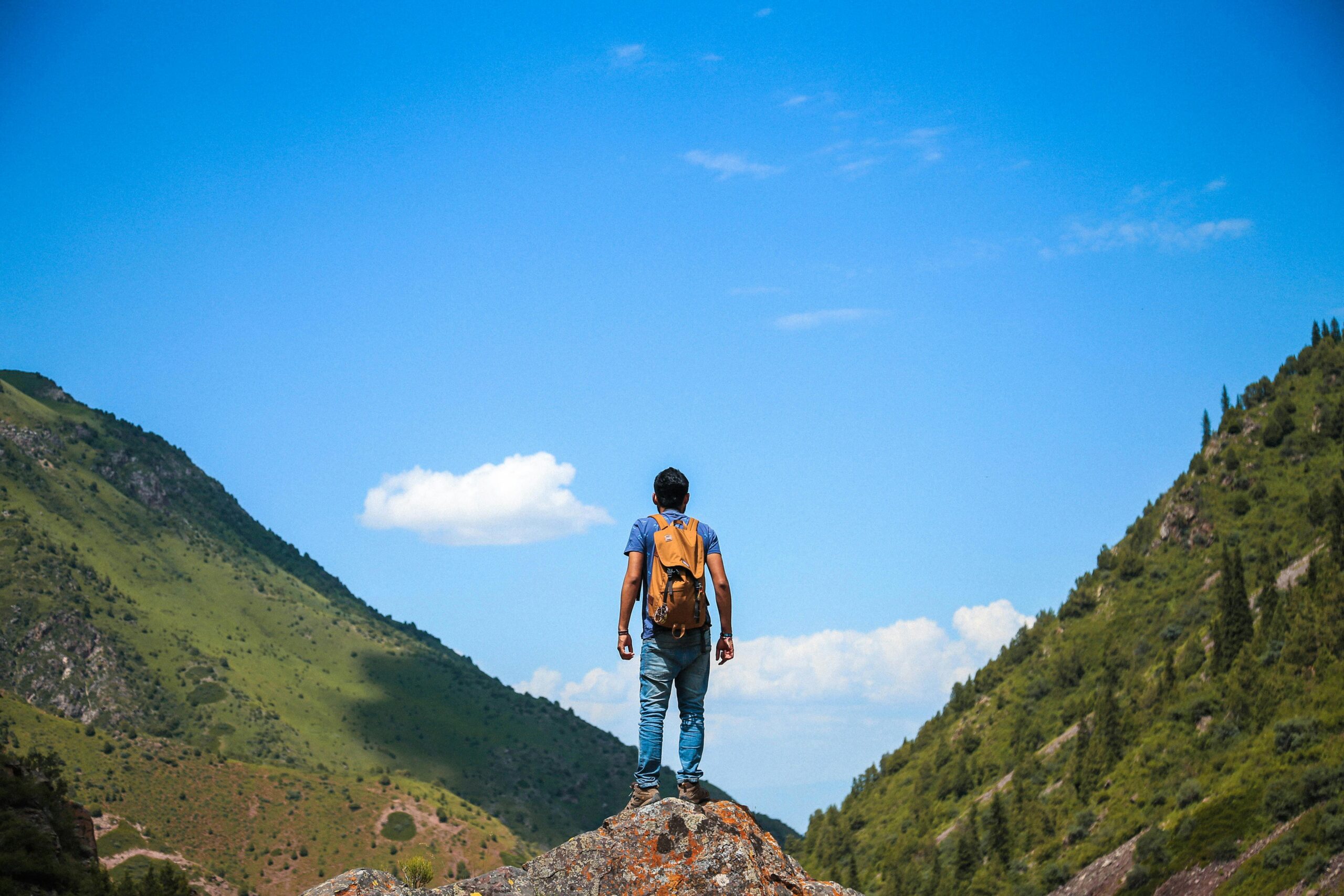 Vestibular Hypofunction- How to Resolve the dizziness Proven Results