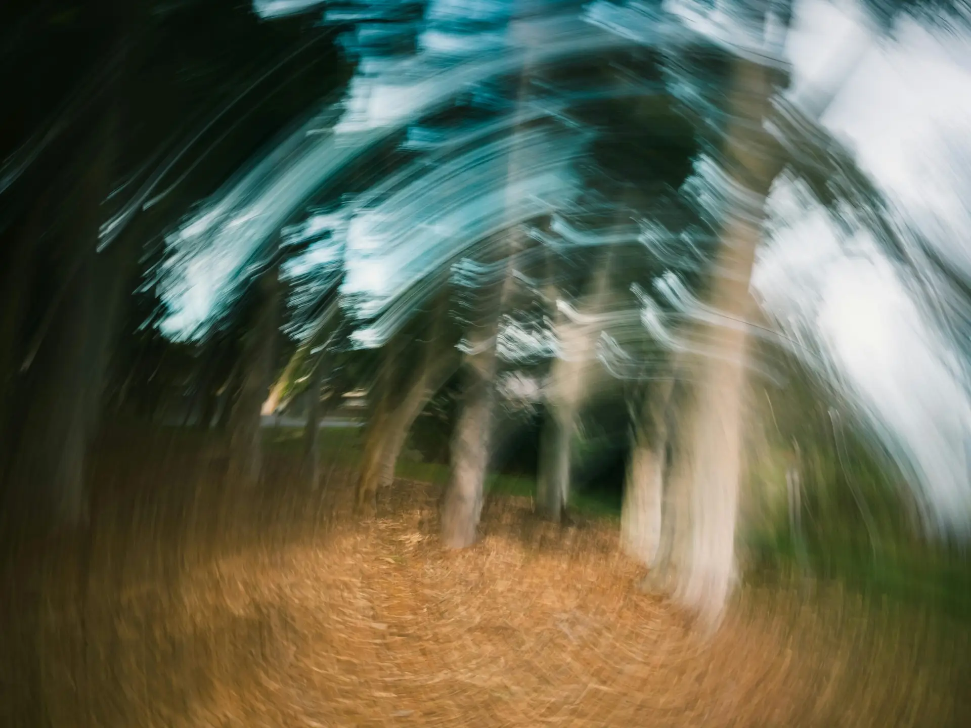 Vestibular Neuritis Doctor Sarasota: How Proven Upper Cervical Chiropractic at Lavender Family Chiropractic Helps You Reclaim Balance, Clarity, and Confidence