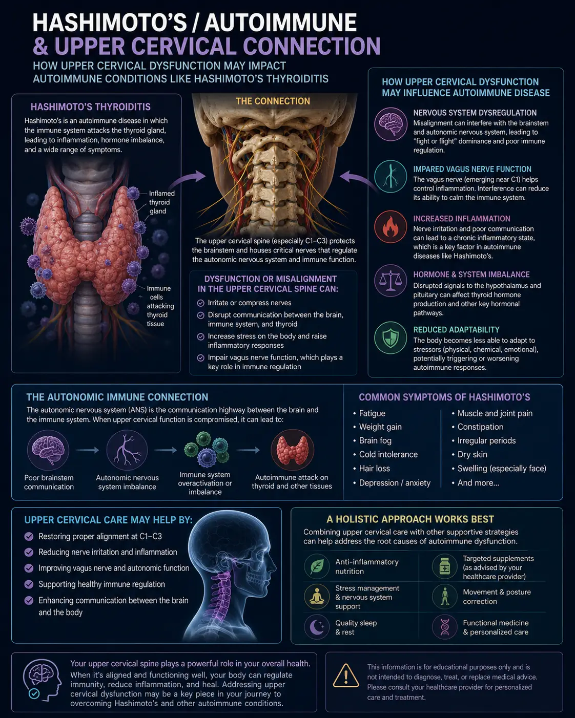 Hashimoto’s Thyroiditis in Sarasota, Florida: How Upper Cervical Chiropractic Care at Lavender Family Chiropractic Supports the Vagal and Inflammatory Mechanisms Behind Autoimmune Thyroid Disease