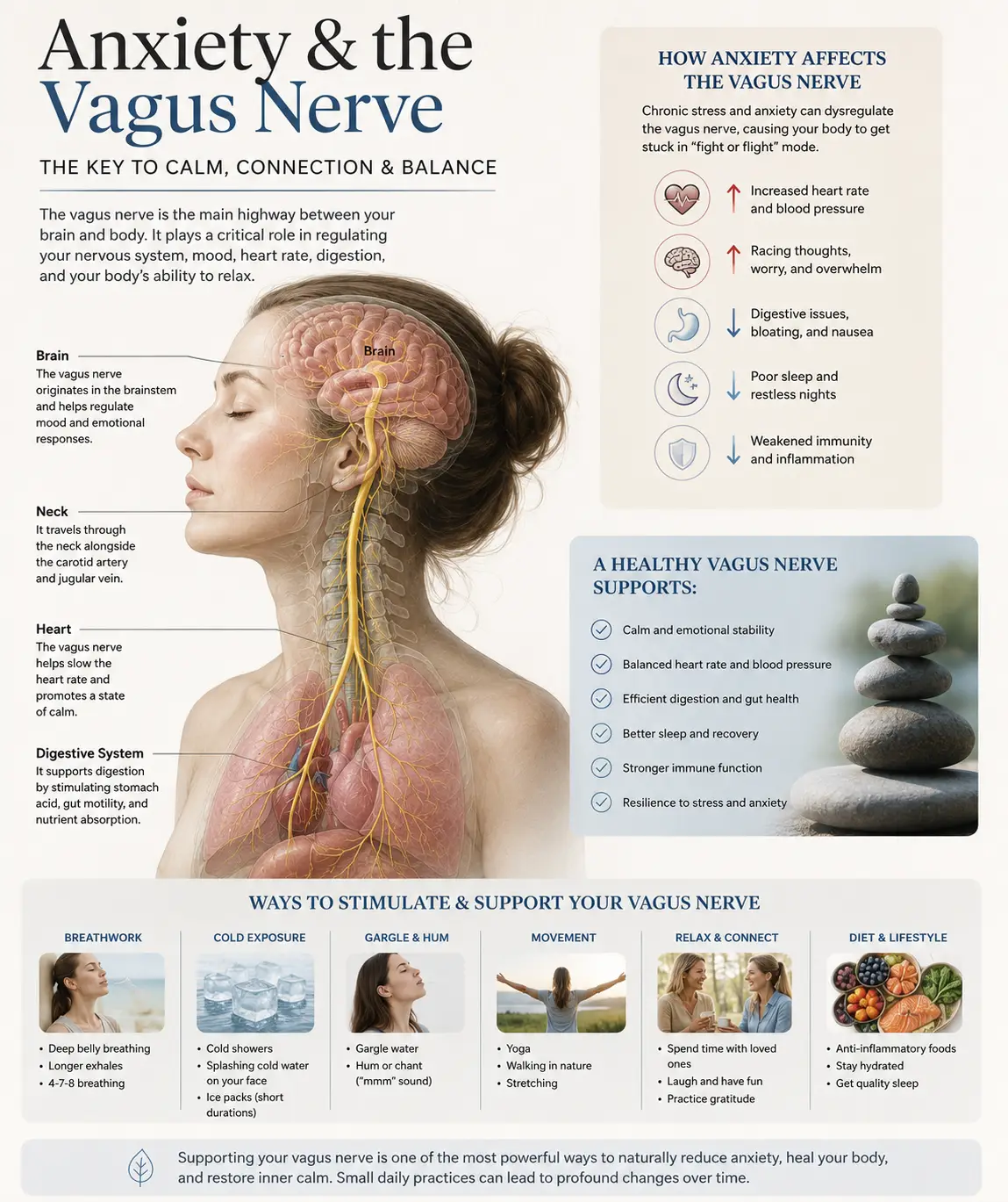 Anxiety and the Vagus Nerve in Sarasota, Florida: How Upper Cervical Chiropractic Care at Lavender Family Chiropractic Supports the Autonomic Foundation Beneath Chronic Anxiety for Proven Results