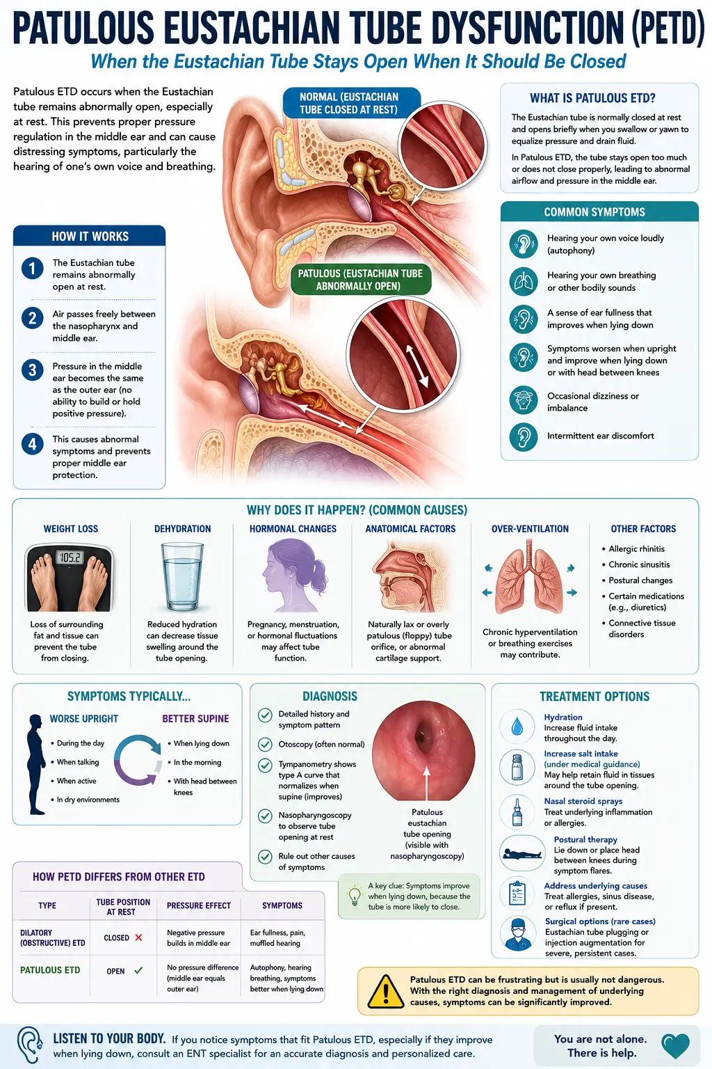 Patulous Eustachian Tube Dysfunction Relief in Sarasota, Florida: Why You Hear Your Own Voice and Breathing — and Where Upper Cervical Care at Lavender Family Chiropractic May Fit