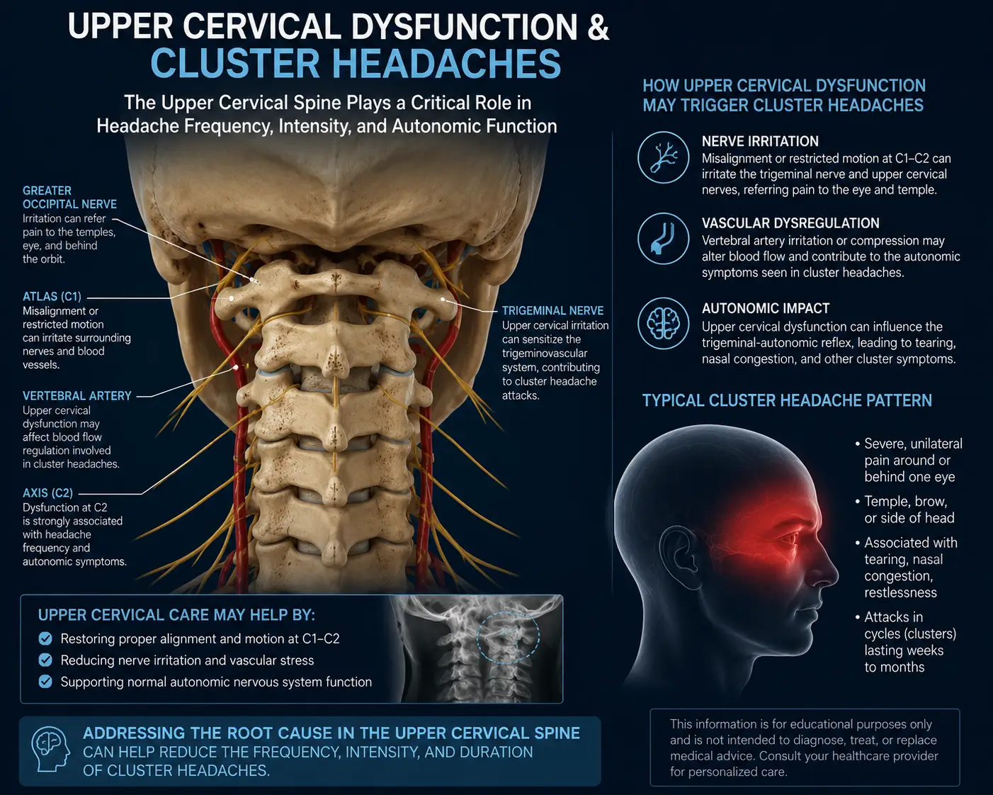 Cluster Headaches in Sarasota, Florida: How Upper Cervical Chiropractic Care at Lavender Family Chiropractic Approaches One of the Most Severe Headache Disorders