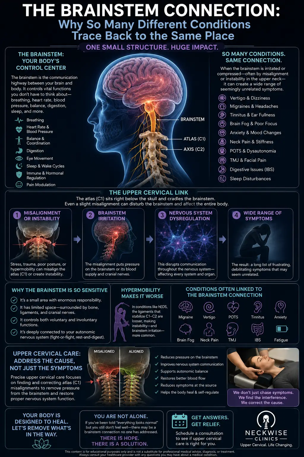 The Brainstem Connection: Why So Many Different Conditions Trace Back to the Same Place