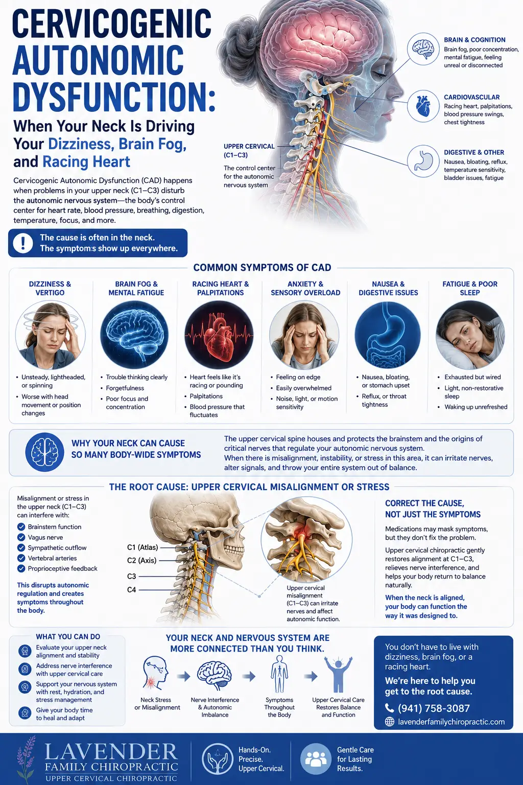 Cervicogenic Autonomic Dysfunction: When Your Neck Is Driving Your Dizziness, Brain Fog, and Racing Heart